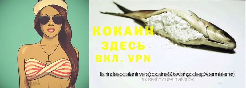 хочу наркоту  Гурьевск  Cocaine VHQ 